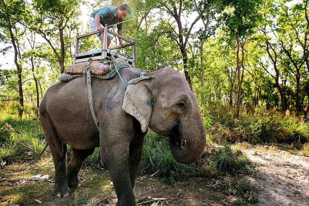 25-chitwan-national-park-travel-images